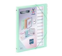 Viquel - Propysoft - Organizador personalizable con 12 compartimentos (tamaño A4, cierre elástico), color verde translúcido