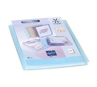 Viquel - Protección de documentos personalizable - Encuadernación A4 - Portafotos de 120 caras (60 bolsillos) Propysoft - Fundas transparentes y lisas - Azul translúcido
