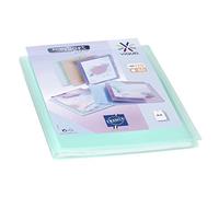 Viquel - Protección de documentos personalizable - Encuadernación A4 - Portafotos de 120 caras (60 bolsillos) Propysoft - Fundas transparentes y lisas - Verde translúcido