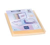 Viquel - Protección de documentos personalizable - Encuadernación A4 - Portafotos de 120 caras (60 bolsillos) Propysoft - Fundas transparentes y lisas - Naranja translúcido
