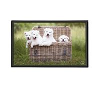 Viquel - Protector de escritorio para cachorros
