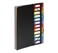 Viquel Rainbow - Clasificador con fuelle, de polipropileno, 12 posiciones