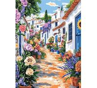 Vista callejera con flores Pintar por Numeros Adultos, 80x100cm w-494