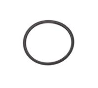 Vitrex - Junta de Silicona Compatible con Olla Express, Modelo PRESS, 09REMEJSVIT, 8429113546311