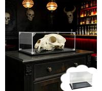 Vitrina de calavera de animales, a prueba de polvo, vitrina de Halloween para bar, escuela, oficina y hospital, caja de almacenamiento grande para encimera para una decoración única