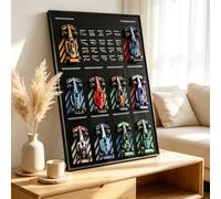 Vitrina de Pared para Coches en Miniatura con Panel Protector de Acrílico | Expositor de Pared para Modelos de Colección, Panel Expositor con Marco de Aluminio, Exposición para Vehículos en Miniatura
