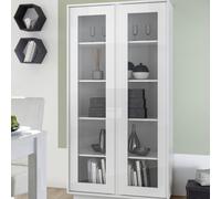 Vitrina ICE de 2 puertas