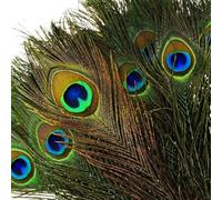 VoilaLove - Lote de 25 plumas naturales de pavo real con ojos de plumas de cola de pavo real para la fiesta de boda, artes y artesanías, decoración en casa (25, 10 - 12 pulgadas / 25 - 30 cm)