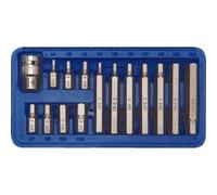 Vorel Destornillador hexagonal 66720 – Conjunto de bits H4–H12, 15 piezas