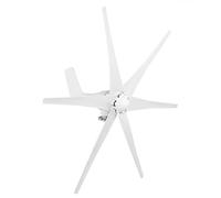 Vvikizy Kit de Aerogeneradores Generador de Alta Eficiencia 200W para Casas Móviles y Terrazas, 6 Aspas, Plástico Duradero y Aleación (24V)