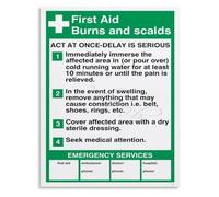 VWWJCCRO Thermal Burn Poster First Degree to Third Degree Scalds Steps Medicine Chart Bedroom Wall Decor(Framed,08x12inch(20x30cm))