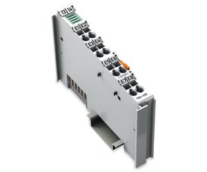 Wago Fieldbus, Periférico descentralizado - Módulo de entradas y salidas analógicas - 750-430