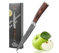WAKOLI EDIB cuchillo pequeño de cocina de acero de damasco de 67 capas con núcleo VG10, hoja de 12,5 cm, mango de madera Pakka, en caja de regalo, para frutas y verduras