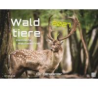 Waldtiere - Heimische Waldbewohner - Der Tierkalender - 2027 - Kalender DIN A2: Der Wandkalender mit den schönsten Waldtier-Motiven für das Jahr 2027 im extragroßen Format DIN A2 (ca. 60 x 42 cm)!