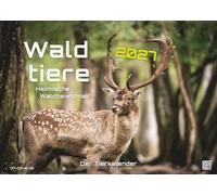 Waldtiere - Heimische Waldbewohner - Der Tierkalender - 2027 - Kalender DIN A3: Der Wandkalender mit den schönsten Waldtier-Motiven für das Jahr 2027 im Format DIN A3 (ca. 42 x 30 cm)!
