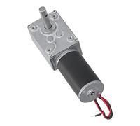 Walfront Motorreductor de Tornillo sin Fin DC 12V 24V, Eje de Salida Dual | Núcleo de Motor de Cobre de 31 Mm, Engranaje Helicoidal de Latón, Carcasa Totalmente Metálica, bajo Ruido, Larga Vida útil,