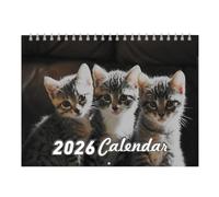 Wall Calendar, Monthly Paper Planner with Cute Illustrated Scenes, Fun Gag Art for Kids, Teachers, Family, Dorm, School, Apartment, Bedroom, Classroom, Kitchen, College Use, Multicolor