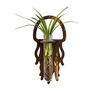 Wall Propagation Station - Jellyfish Wood Room Decoration | Hydroponics Plants Wall Vase | Ideal For Gardeners Growers Home Office Apartment Living Room Kitchen Bedroom Balcony Entryway
