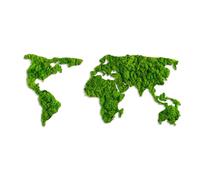 Wallity World Map Escultura de pared Verde