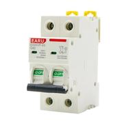 WANGZEYU Diferencial Auto Rearmable Disyuntor de CA MCB Tipo C, 230 V, 50/60 Hz, protección contra sobretensión y subtensión, 6 A, 10, 16, 20, 25, 32, 40, 50, 63, 1 P+N(40A)