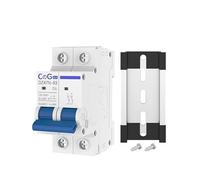 WANGZEYU Diferencial Auto Rearmable Disyuntor Miniatura de CA 2 Polos, 6 A, 10, 16, 20, 25, 32, 40, 50, 63, 120/240 V, Interruptor Montaje en riel DIN con Disparo magnético térmico(32A)