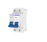 WANGZEYU Diferencial Auto Rearmable Disyuntor Miniatura de CC 2 Polos, 10 A, 16, 20, 25, 32, 40, 50, 63, 1000 V, con Disparo magnético térmico y Montaje en riel DIN(32A)