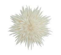 Watt & Veke Estrella de Adviento Maja Ø50 cm White