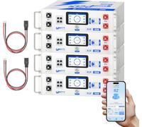 Wattcycle Kit de Batería LiFePO4 48V 100Ah 20,48kWh para Rack | Paquete de 4 Baterías, Compatible con EcoFlow Delta, Cables PPS 50A incluidos, Respaldo Fuera de la Red, Rack 3U