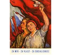 Wee Blue Coo Póster de la bandera de Campaña Política del Socialismo (30 x 40 cm) BB6799B