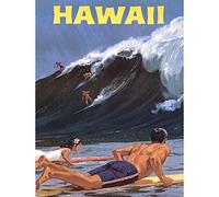 Wee Blue Coo TRAVEL TOURISM HAWAII USA SURF OCEAN WAVE NEW FINE ART PRINT POSTER PICTURE 30x40 CMS Viajar GIRA HAWAI Estados Unidos de America Oceano Lámina Póster Imagen