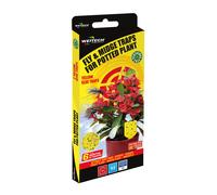 Weitech Trampa para mosquitos y moscas especial para macetas Amarillo 2 uds