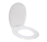 Well Home Asiento de Baño Duroplast 38x5,5x47cm con tapa y Bisagras cromadas en ABS con sistema SOFTCLOSE