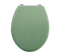 Well Home Asiento WC, con bisagras acero inoxidable, acabado, color albahaca