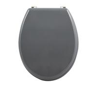 Well Home Asiento WC, con bisagras acero inoxidable, acabado, color gris oscuro