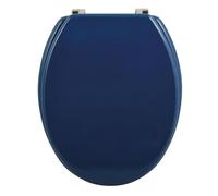 Well Home Asiento WC, con bisagras acero inoxidable, acabado, color petróleo