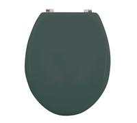 Well Home Asiento WC, con bisagras acero inoxidable, acabado, color verde oscuro