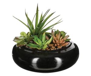 WELL HOME - Composición de centro formado por un surtido de plantas con florero de cerámica