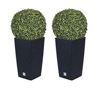 WELL HOME MOBILIARIO & DECORACIÓN Doble Set de Maceta Rato de 35 litros con Inserto 28,7 x 28,7 x 55 cm en Color Antracita + Bola de boj diámetro 36 cm