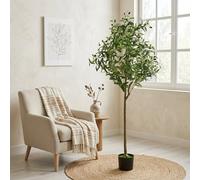 Well Home Planta Artificial Decorativa Grande Realista para Interiores: Olivo Artificial de 150cm