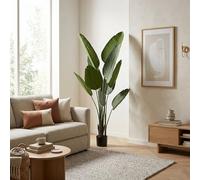 Wellhome Planta artificial Palmera platanera realista 160 cm grande para interiores