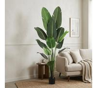 Well Home Planta Artificial Decorativa Grande Realista para Interiores: Palmera Platanera Artificial de 210cm