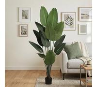 Well Home Planta Artificial Decorativa Grande Realista para Interiores: Palmera Platanera Artificial de 180cm