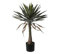 Well Home Planta de Yuca en Maceta de H.90cm