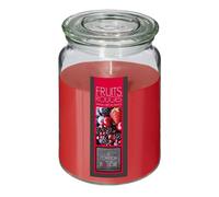 Well home - vela perfumada de frutos rojos