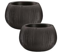 Wellhome 2x PROSPERPLAST BETON BOWL de Plástico con Depósito en Color Cemento Negro para Interiores y Exteriores