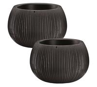 Wellhome Macetero 2x PROSPERPLAST BETON BOWL de Plástico con Depósito en Color Cemento Negro para Interiores y Exteriores