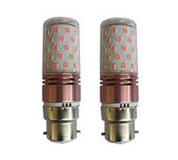 WELSUN Bombilla de bajo Voltaje 24V B22 LED Bombilla 12V 10W Bulbo de maíz luz 2835SMD 60LED AC/DC 12-40V for RV Camper Marine, luz de energía Solar y Apagado de la Rejilla 2pcs / Lote