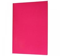 West Design Products A4 - Carpeta clasificadora (varios colores), color rosa A4