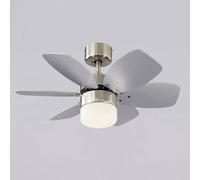 Westinghouse Floral Royal ventilador de techo