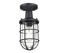 Westinghouse iluminación 61131 Lámpara de techo semiempotrada para exteriores de 1 brazo Crestview, acabado negro texturizado, vidrio fantasía transparente